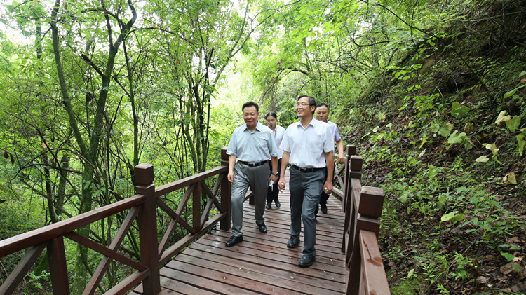 202006241592963251132778.jpg 04.jpg