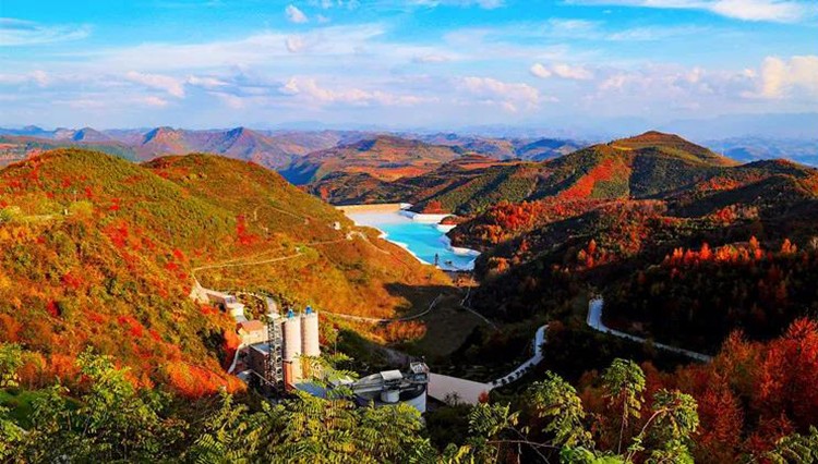 202012041607063060333926.jpg 8.jpg