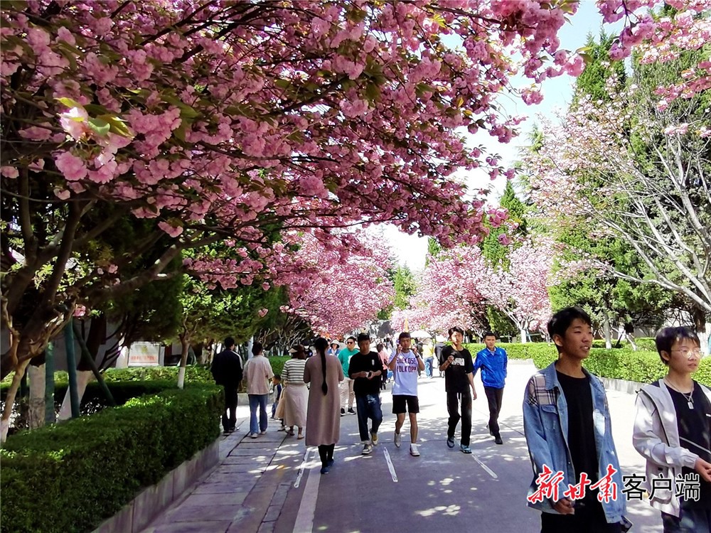 202305061683333943177160.jpg 3.jpg